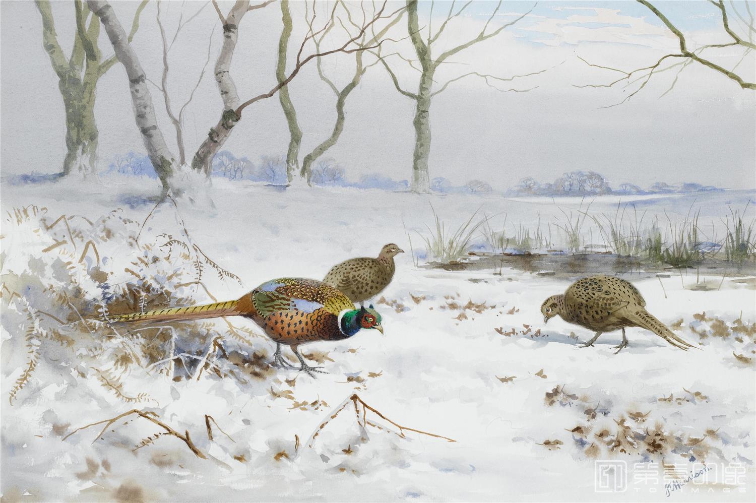 油画-约翰.赛里尔·哈里森 John Harrison作品集-100